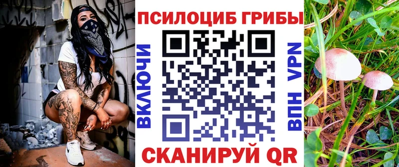 продажа наркотиков  mega ссылка  Галлюциногенные грибы GOLDEN TEACHER  Лыткарино 