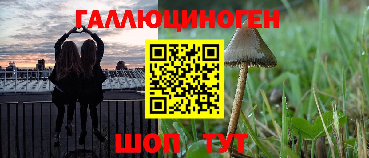 Лыткарино  Галлюциногенные грибы Magic Shrooms  Вход с VPN  Галлюциногенные грибы Psilocybine cubensis 